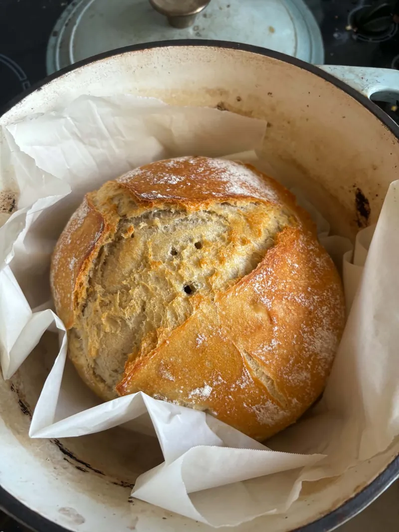 Sourdough boule with a big open bloom in a white enamel Dutch oven on baking paper